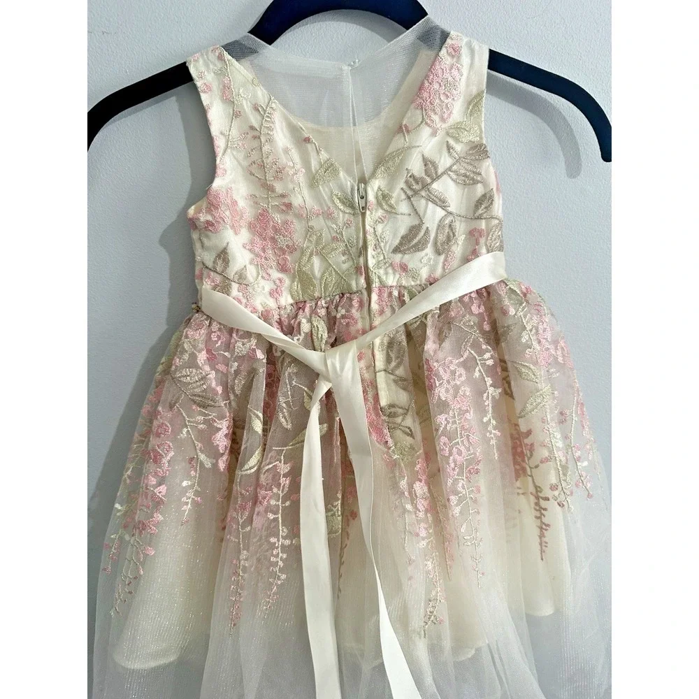 Rare Editions Girls 2T Floral Embroidered Party Dress Wedding Pink Cream Gold